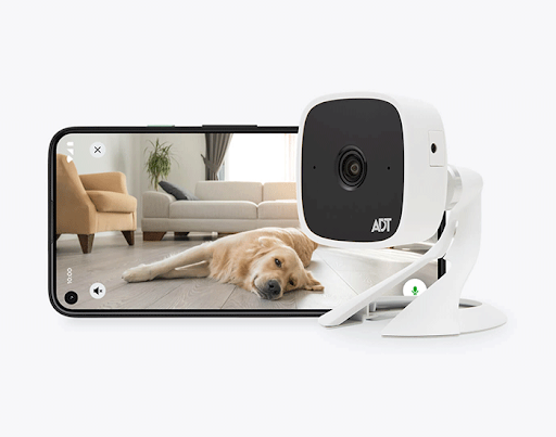 Indoor security camera